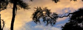 sunset clouds tree nature facebook cover