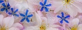 blue white sparkly flowers facebook cover