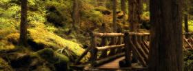 water forest scenery nature facebook cover