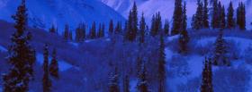 blue winter nature facebook cover