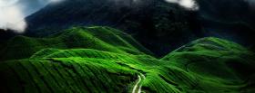green path nature facebook cover