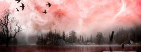 pinky tree sky nature facebook cover