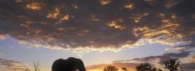 african elephant clouds nature facebook cover