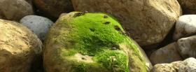 rocks and moss nature facebook cover