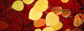 yellow leaves autumn facebook cover