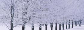 white winter trees nature facebook cover