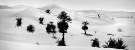 black and white desert facebook cover
