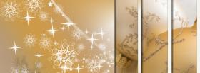 Snowy Christmas Trees  facebook cover
