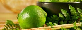 zesty lime food facebook cover