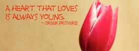 always young quotes facebook cover