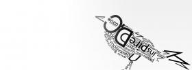 landing owl typography facebook cover