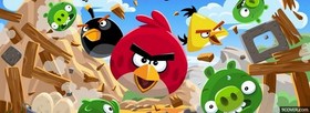 Angry Birds Space facebook cover