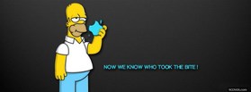 Homer Simpson facebook cover