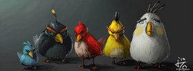 Angry Birds Adult  facebook cover