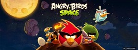 Angry Birds Space facebook cover