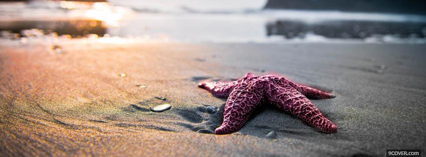 Photo star fish on the beach Facebook Cover for Free