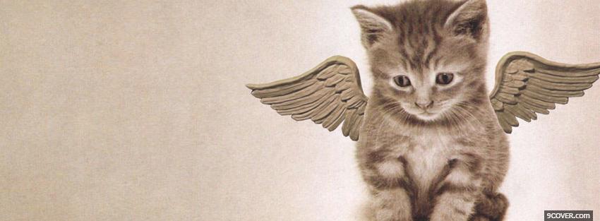 Photo angel kitty adorable Facebook Cover for Free