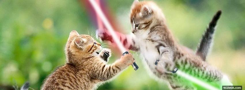 Photo star wars cats animals Facebook Cover for Free