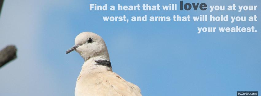 Photo find a heart that will love Facebook Cover for Free