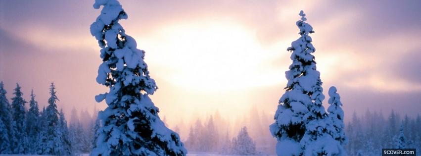 Photo nature snow on trees Facebook Cover for Free