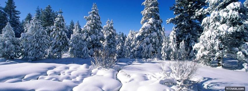 Photo nature snow and forest Facebook Cover for Free