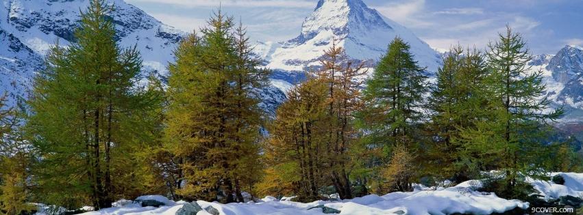 Photo nature green trees and snow Facebook Cover for Free