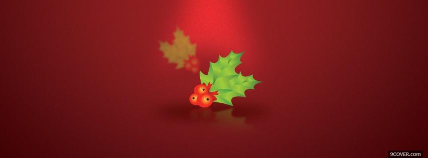 Photo christmas misletoe Facebook Cover for Free