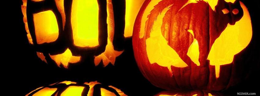 Photo carved cat in pumpkin Facebook Cover for Free