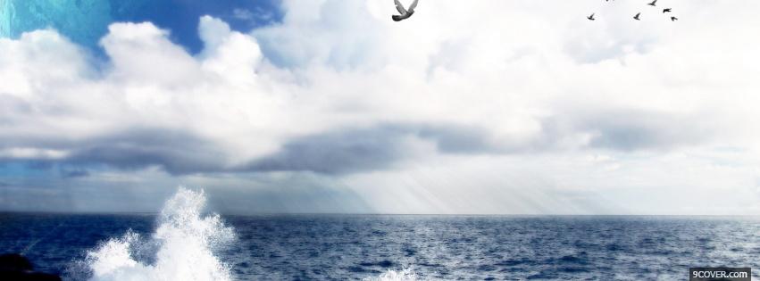 Photo birds and clouds nature Facebook Cover for Free