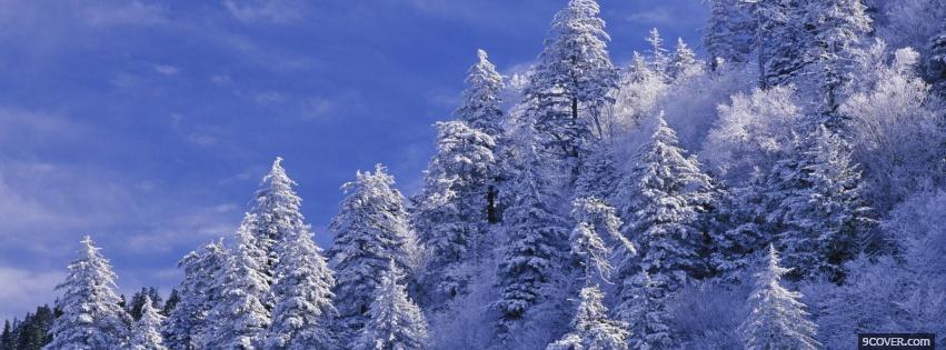 Photo morning in winter nature Facebook Cover for Free