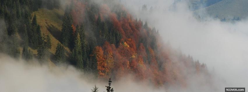 Photo fire in forest nature Facebook Cover for Free