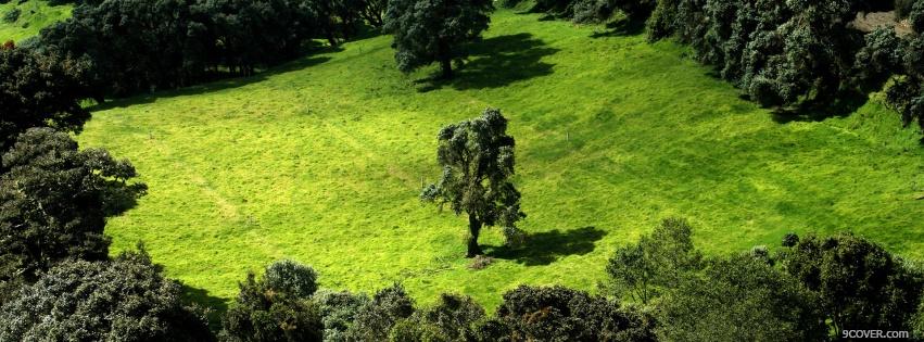 Photo green forest nature Facebook Cover for Free