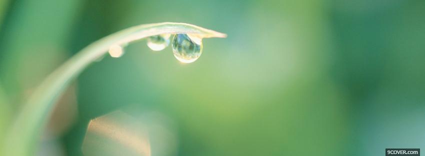 Photo grass and rain nature Facebook Cover for Free