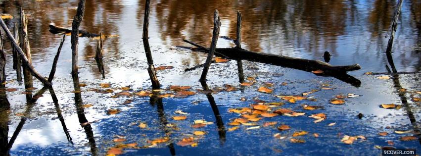 Photo floating leaves nature Facebook Cover for Free
