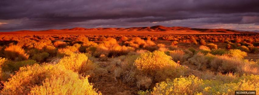 Photo antelope valley nature Facebook Cover for Free
