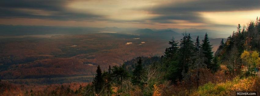Photo huge forest nature Facebook Cover for Free