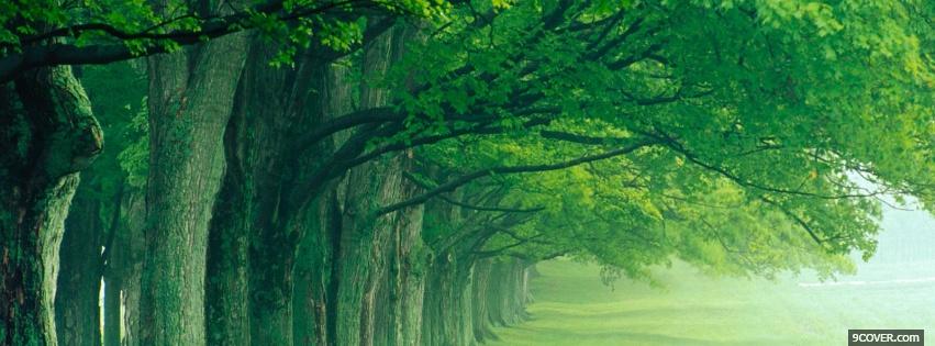 Photo forest sunrise nature Facebook Cover for Free