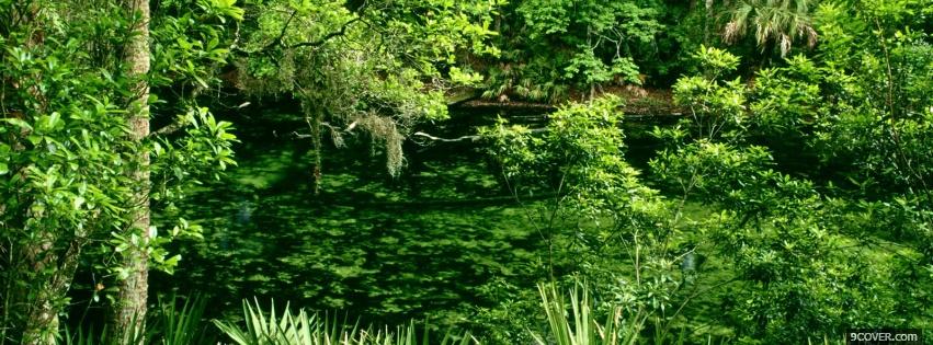Photo green woods nature Facebook Cover for Free