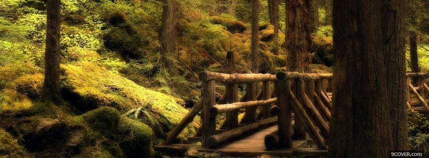 Photo bridge in woods nature Facebook Cover for Free