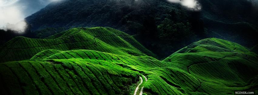 Photo green path nature Facebook Cover for Free
