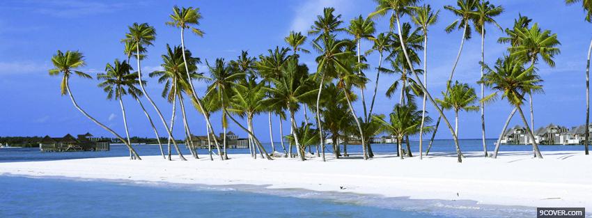 Photo beach of palm trees Facebook Cover for Free