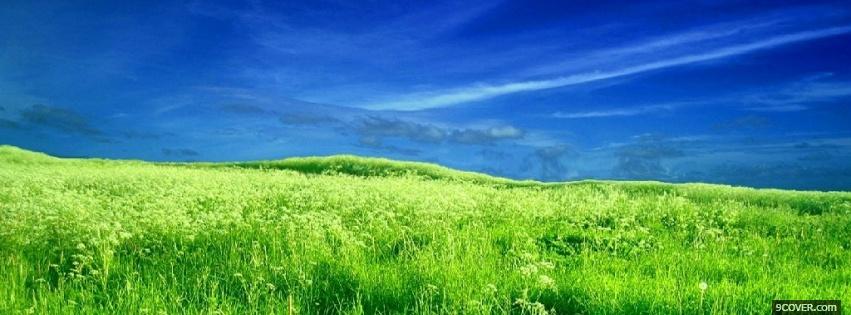 Photo bright green grass nature Facebook Cover for Free