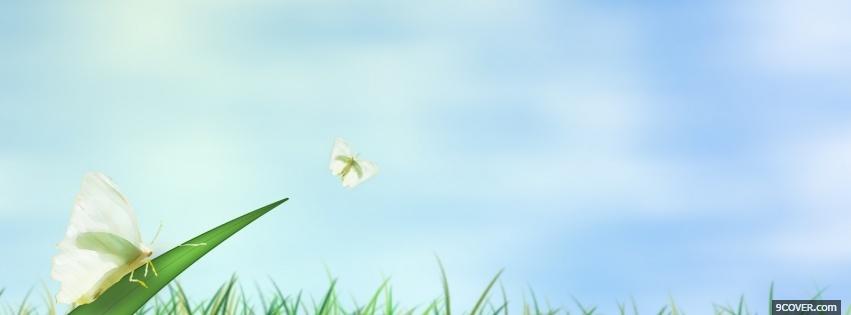 Photo insects and grass nature Facebook Cover for Free