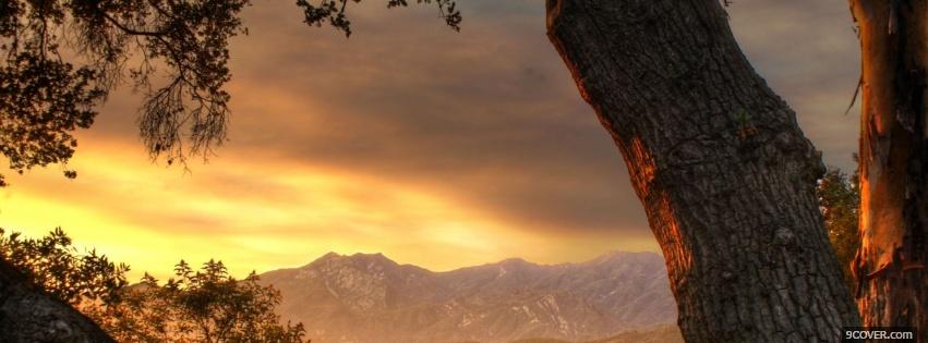 Photo nature mountain tree Facebook Cover for Free