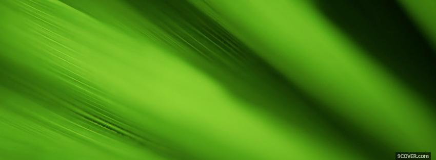 Photo grass close up nature Facebook Cover for Free