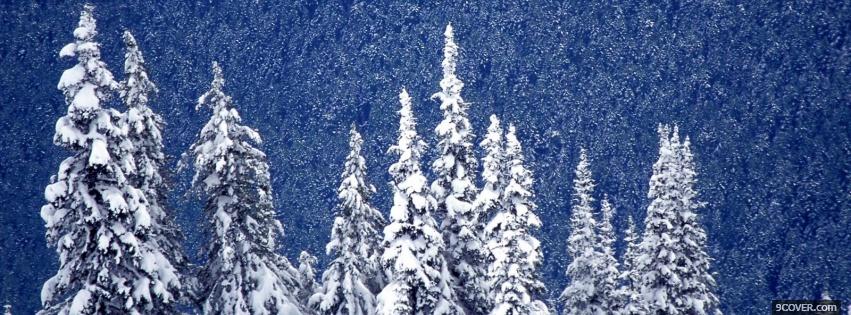 Photo mountain forest nature Facebook Cover for Free