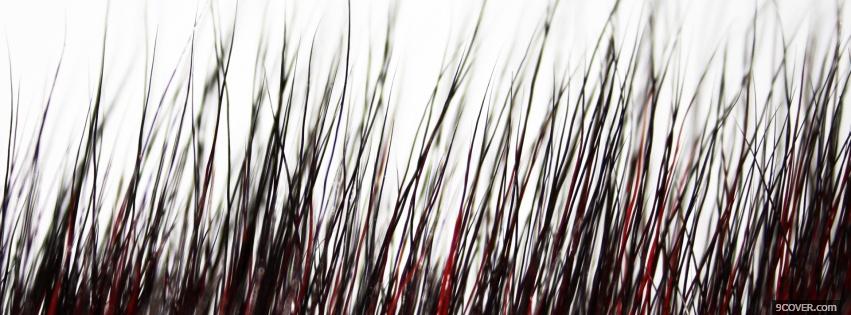 Photo dark grass nature Facebook Cover for Free