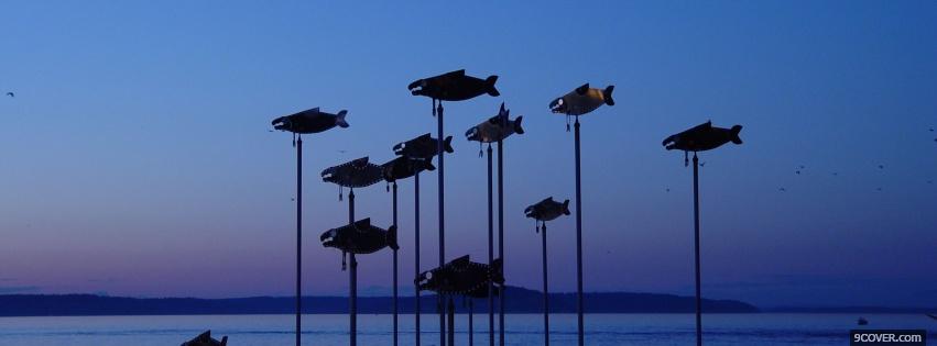 Photo wind fish nature Facebook Cover for Free