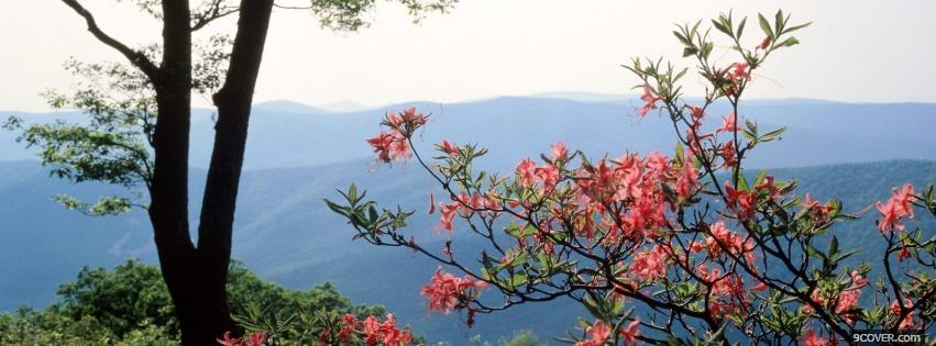 Photo blue ridge mountains nature Facebook Cover for Free