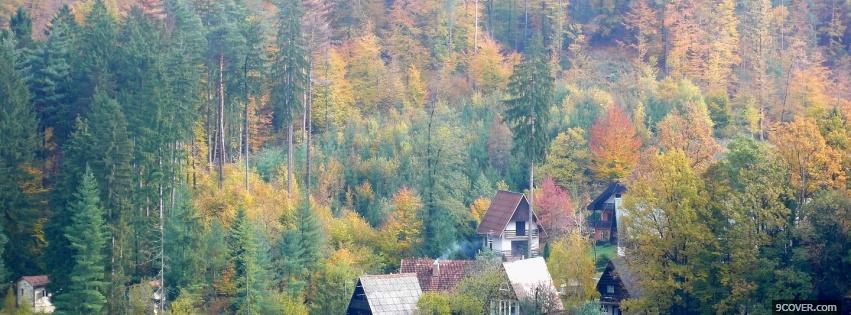 Photo fall trees nature Facebook Cover for Free